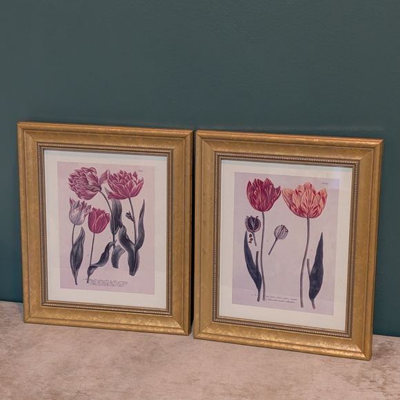 Vintage Framed Art Prints(Set)~Tulips~Johann Wilhelm Weinmann